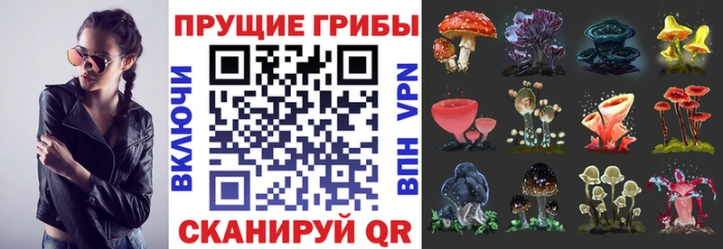 даркнет сайт  Кузнецк  Псилоцибиновые грибы мицелий 